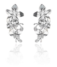 Lataa kuva Galleria-katseluun, Liza korvakorut, Hopeaa, Lumoava