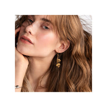 Lataa kuva Galleria-katseluun, Lumoava Kukinto korvakorut, kullattu hopea