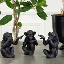 Lataa kuva Galleria-katseluun, Apinakoriste musta 3-setti
